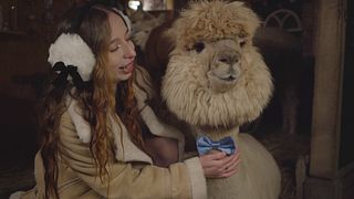 SFW Unique Alpaca Night Adventure with CyberlyCrush