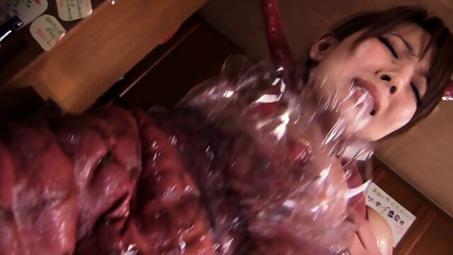 HITOMI VS TENTACLES - PT.2 - Hitomi Tanaka