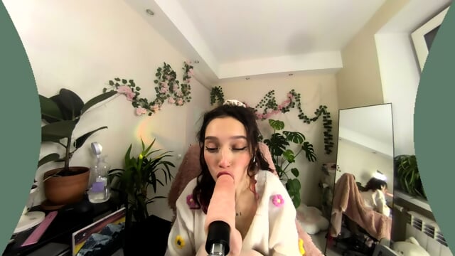 Vr Webcam Video 180latlong 029