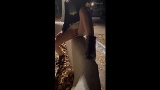 Real whore fucked on the street among the monuments of Rome