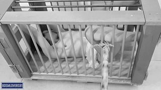 Submissive Slut Tied up in her cage for a BDSM pussy massage