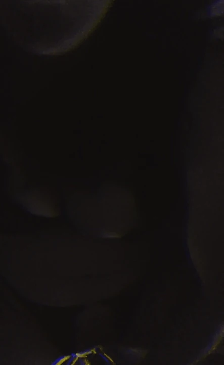 Jebi me jako... Fuck me hard...