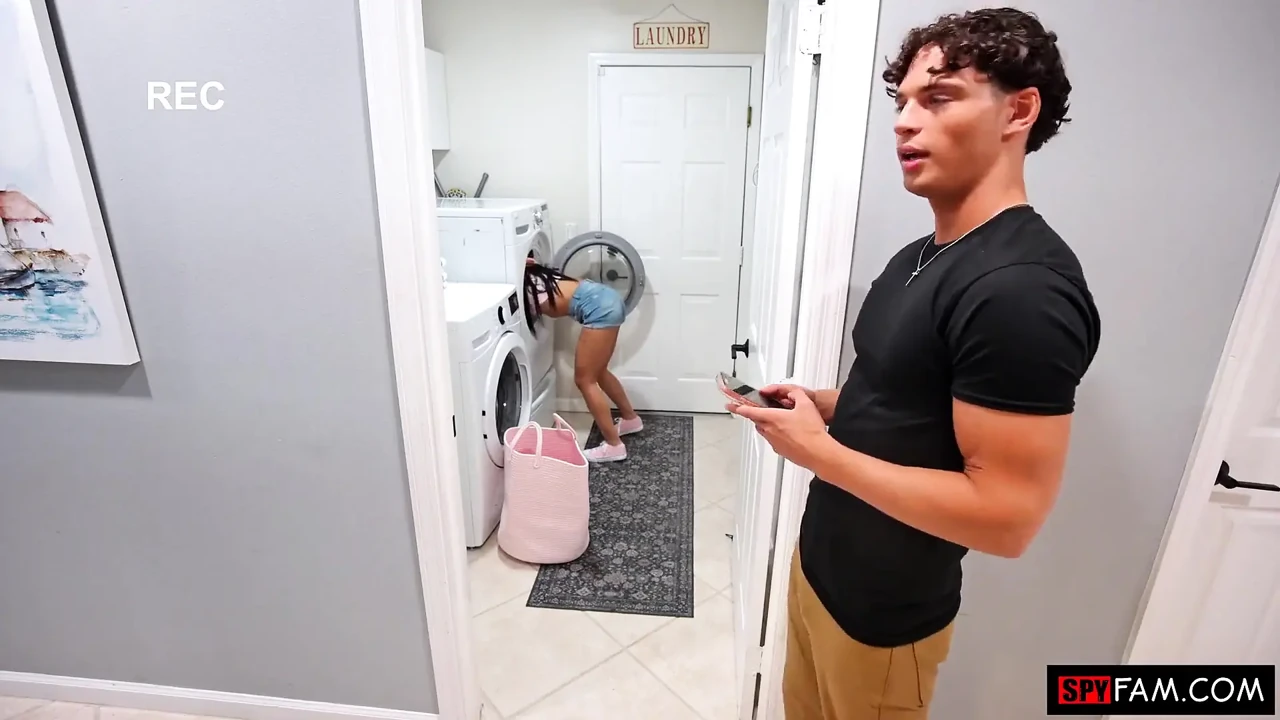 Spin Cycle Step Siblings