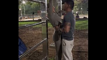 "Olha o macho me fudendo no seu carro, seu corno" - Personal com pau grande fode a casadinha mais safada do brasil na frente do marido corno apos um treino safado no parque.