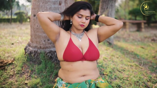 Desi Saree Fashion Beauty