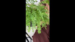 PAWG wife and her wonderful fern