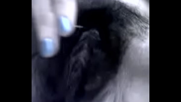 hairy 00 3742 3914 1490 8016 2363
