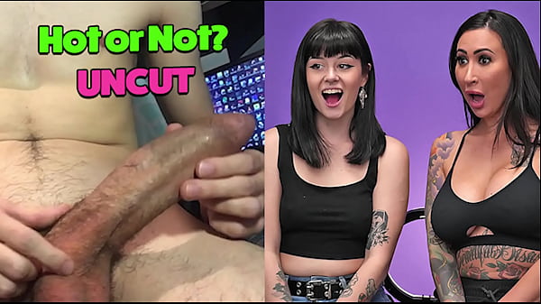 Shereacts