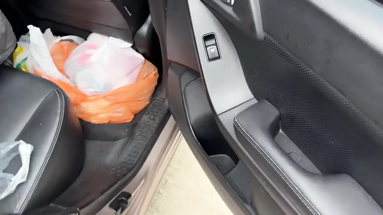 She Satisfied Herself in the Back Seat of the Car.